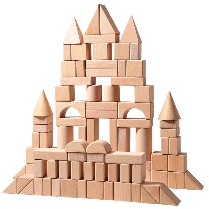 Natural Wooden 100-Piece Building Block Set